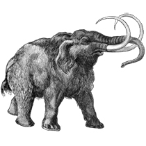 Mammut