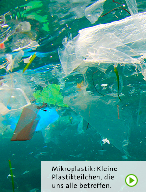 Teaser Mikroplastik