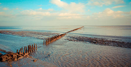 Wattenmeer