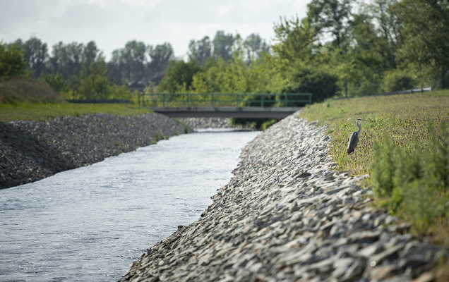 Wasser in der Natur mit Schilf entlang eines Flusses