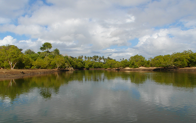 Kongo_River, panoramio