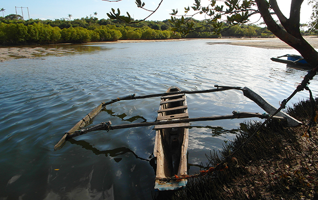 Kongo_River,_Diani_Beach_2013_-_panoramio_(7).jpg