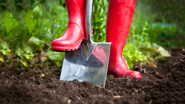 Rote Gummistiefel bei Gartenarbeit