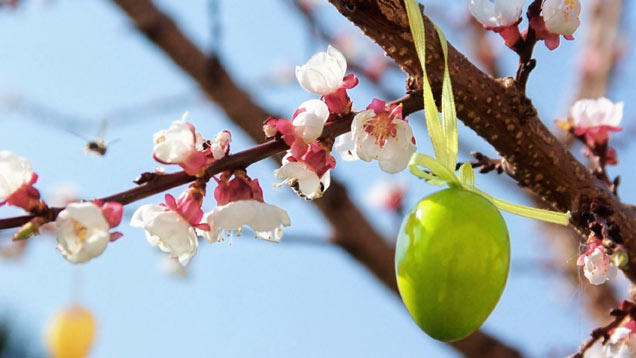 Osterei hängt am Baum