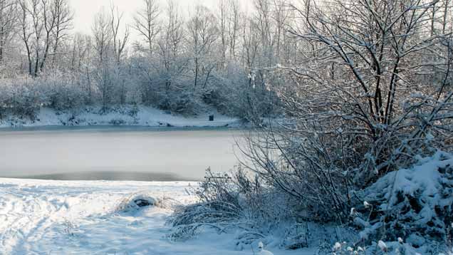 Zugefrohrener See