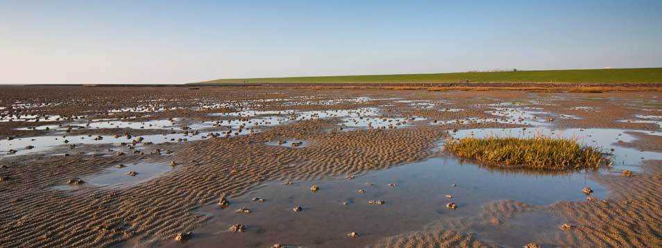 Wattenmeer